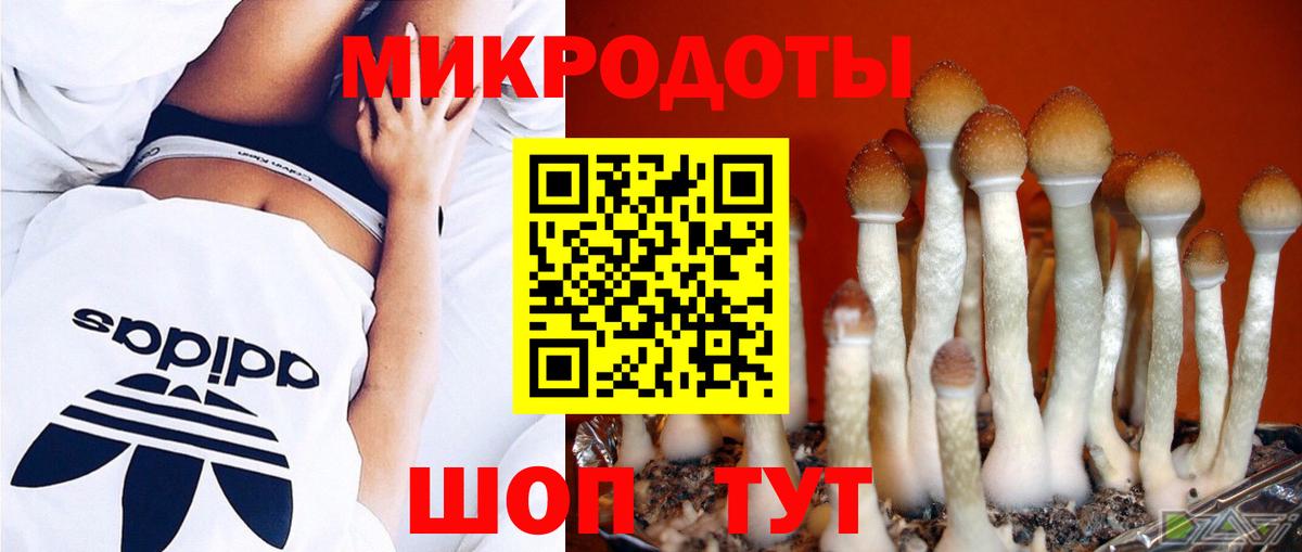 Галлюциногенные грибы Cubensis Карталы